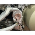 AEM FACTORY - DUCATI PANIGALE / STREETFIGHTER V4 FRAME PLUG KIT PLUS TITANIUM ENGINE / FRAME BOLTS AEM FACTORY - DUCATI PANIGALE / STREETFIGHTER V4 FRAME PLUG KIT PLUS TITANIUM ENGINE / FRAME BOLTS